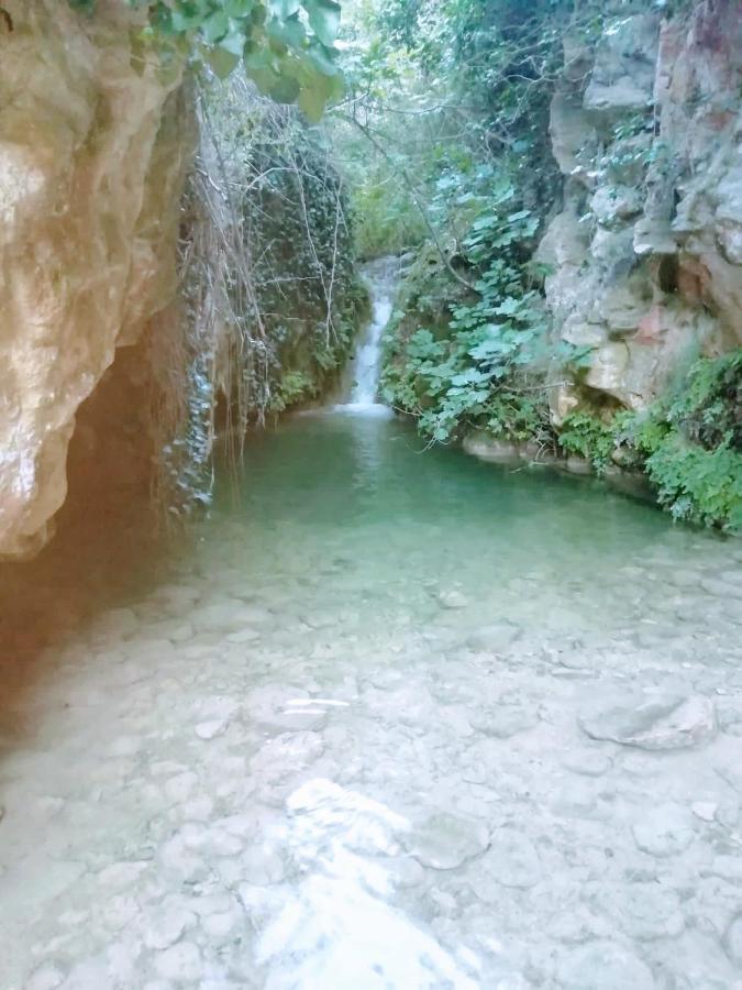 Habitacion De La Marquesa Alcoleja Kültér fotó