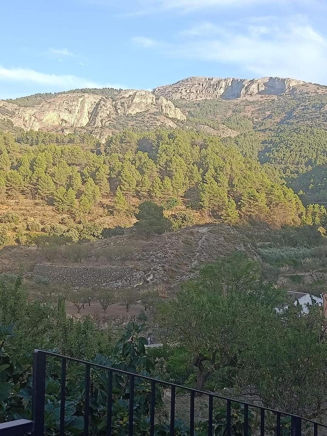 Habitacion De La Marquesa Alcoleja Kültér fotó